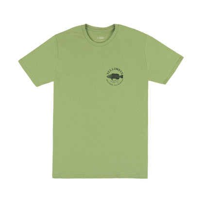 Camiseta Yellowfin Badejo Verde Claro